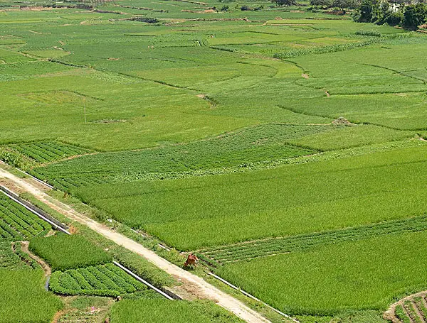 有機肥設(shè)備在生產(chǎn)中所帶來的經(jīng)濟價值